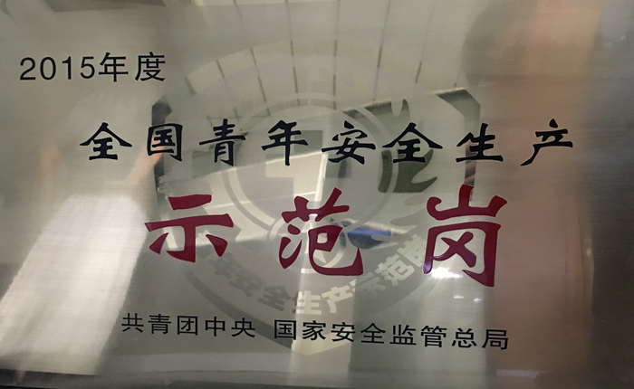 2015獲全國(guó)青年安全生產(chǎn)示范崗